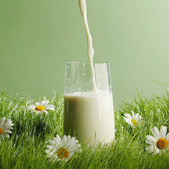Pouring milk in a glass