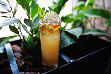 Alcoholic long yellow cocktail  in glass at bar table.