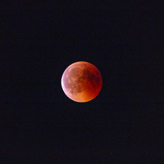 Obraz na płótnie Canvas blood moon at solar eclipse