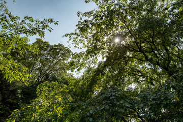 公園