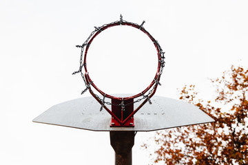 Street basketball basket viewed from below