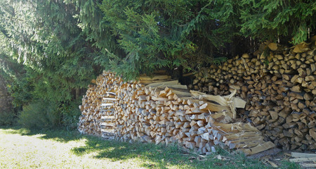 Holzscheite am Waldrand
