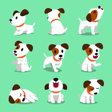 Cartoon character jack russell terrier dog poses for design.