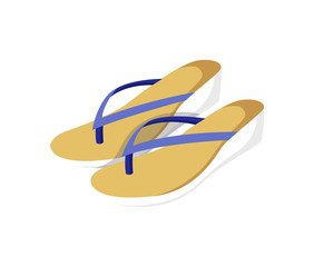 Vogue Shoes Pair Isolated on Bright Background