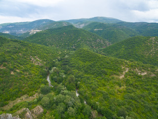 Fototapeta premium Summer Nature