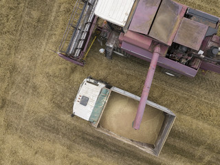 Aerial view on the combine working on the wheat field