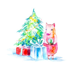 Pig, Christmas tree and gift.Symbol of the new year.Watercolor hand drawn illustration.White background.