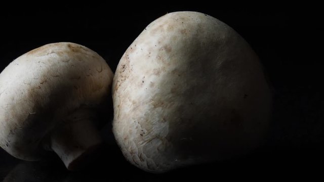 Close up of delicious white mushrooms on black background. Frame. The concept of proper nutrition
