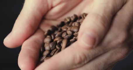 Male hands strewing harvest coffee granules from palm - Powered by Adobe