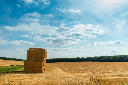 Paysage sur un champ de blé  avec des ballots de paille empilés sur un ciel bleu en été