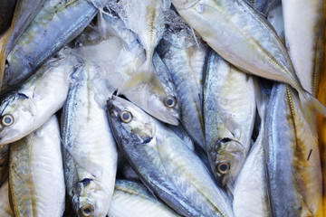 fresh fish in grocery market background