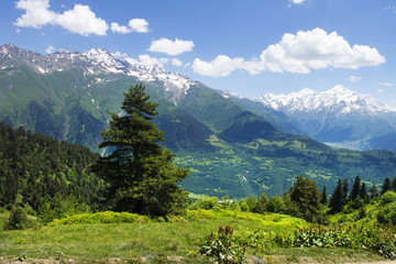 Amazing vibrant mountain landscape in Georgia, Svaneti. Green grass on hills, snowy mountains and blue clear sky on summer sunny day in Mestia. Beautiful view on highland. Forest and meadow on hill.