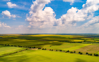 Fototapeta premium Aerial shot of beautiful agriculture fields with blue skies and fluffy clouds in summer. Cloud shadow on the ground