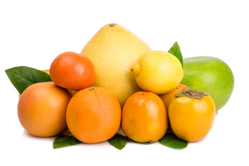 fruits on white background