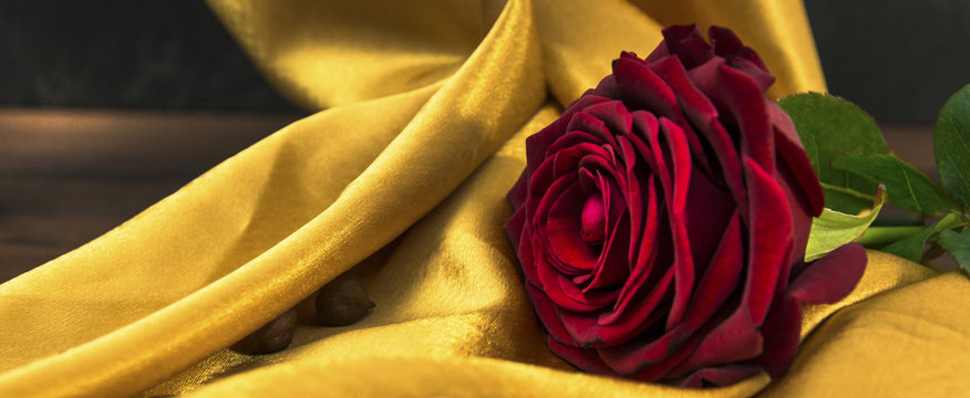 red rose on the gold textile