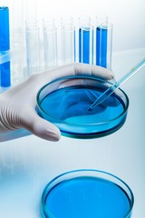 Closeup of a Hand Using a Pipette and a Petri Dish