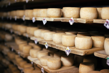 Cow milk cheese, stored in a wooden shelves