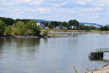 bei Niedrigwasser im Rhein