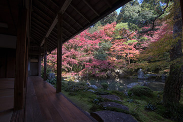 Fototapeta na wymiar kyoto autumn