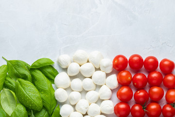 Italian flag made with Tomato Mozzarella and Basil. The concept of Italian cuisine on a light background. Top view with copy space. Flat lay