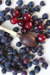 Red cherry and shadberries