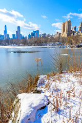 Fototapeta premium Lake in the Central Park of New York City in winter scenery, USA