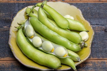 New harvest of healthy vegetables, green fresh raw big broad beans close up
