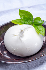 Fresh soft white burrata, ball buttery cheese, made from a mix of mozzarella and ricotta cream, original from Apulia region, Italy, very popular soft cheese in USA