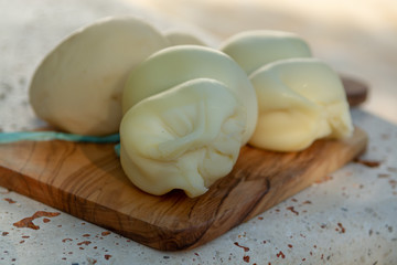 Fresh South Italian traditional cow or cow and sheep semi-soft cheese Scamorza ready to eat