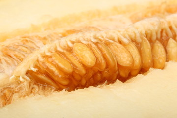 A view of a ripe melon with seeds cut in half close-up