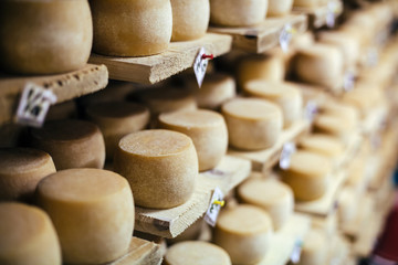 Cow milk cheese, stored in a wooden shelves