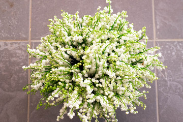 Ландыши садовые