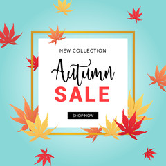 Autumn Sale Vector illustration, New collection, Autumn leaves on bright blue background.