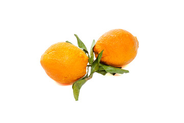 Orang fruit isolate.