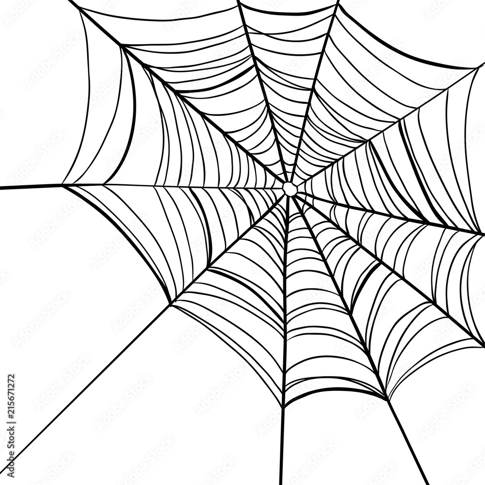 Wall mural spider web on white background.