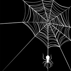 Vector spider web and small spider on a white background.
