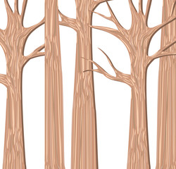 trees forest autumn without leafs scenes vector illustration design