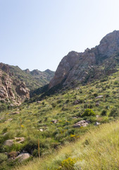 Fototapeta na wymiar Organ Mountains, New Mexico, United States, Nature Trail