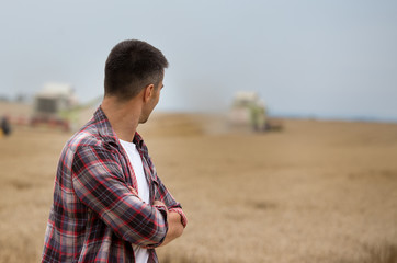 Farmer standing in field during harvest