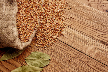 wheat in burlap bag on wooden background
