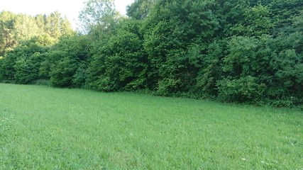 Obraz premium Feld Wälder Deutschland