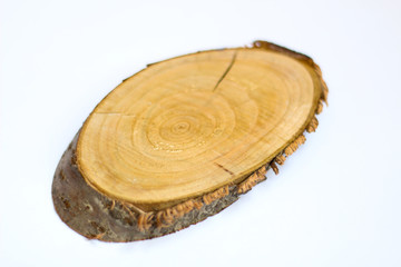 Slice of wood, white background