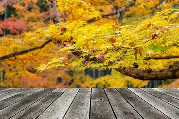 empty modern wooden terrace with blurred view yellow maple leaves with nature forest in autumn background, copy space for display of product or object presentation