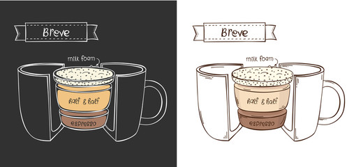 Vector cup of Breve. Infographic cup in a cut