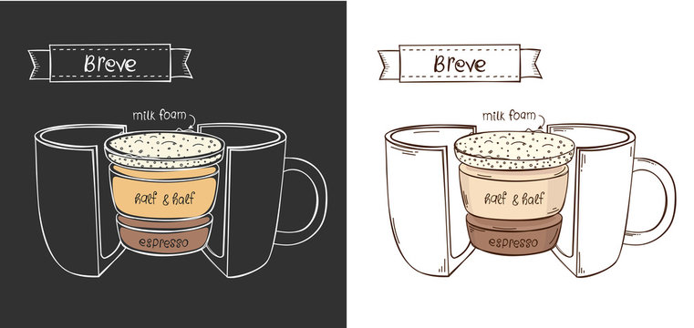 Vector cup of Breve. Infographic cup in a cut