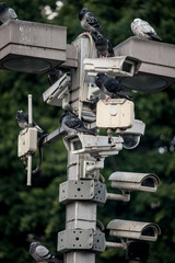camara doves