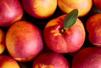 Ripe juicy nectarines with leaves.