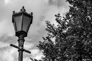 Torch