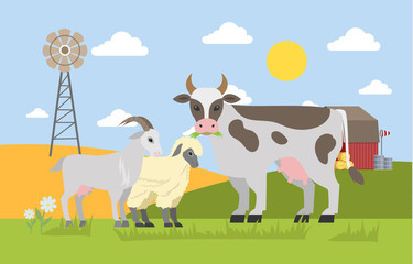 Obraz na płótnie Canvas Farm animals graze on the field