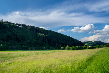 Germany, Elz valley in black forest nature landscape in afternoon light